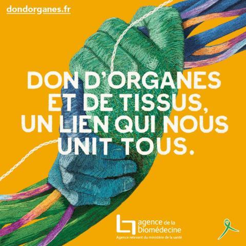 Dons d’organes et de tissus : « Il faut en parler et éveiller l’intérêt des patients et répondre à leurs questions »