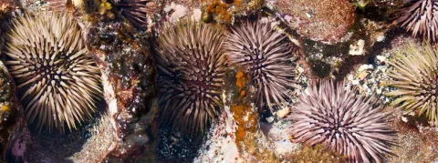 Austérité des dépenses de santé, le gouvernement veut limiter la hausse à 3,2% en 2024
