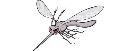 Encore un cas autochtone de dengue, en Corse cette fois 