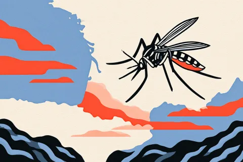 Dengue, chikungunya et virus West Nile gagnent du terrain dans le sud de la France