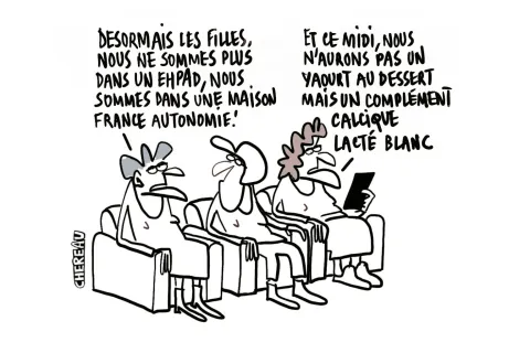Le dessin du grand relooking