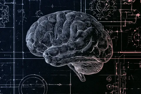 15 millions pour 15 000 heures de scanner : Meta finance un vaste projet de modélisation du cerveau humain