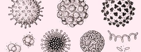 L'épidémie de bronchiolite se développe, RAS pour la grippe et le Covid