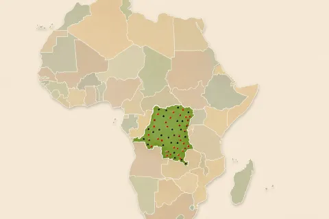 Ebola progresse en RDC : plus de 1 500 cas confirmés et 500 décès recensés