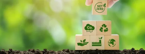 « Nous les anapath’, nous voulons être la première spécialité à réfléchir sur l’empreinte carbone de notre transition numérique »