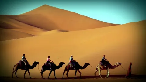 L’expo nomade de MSF plante sa tente dans les CHU de France