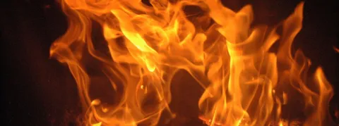 Flambée des cas de bronchiolite et de variole du singe 