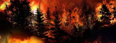 Les cas de grippe et de bronchiolite flambent dans le pays 