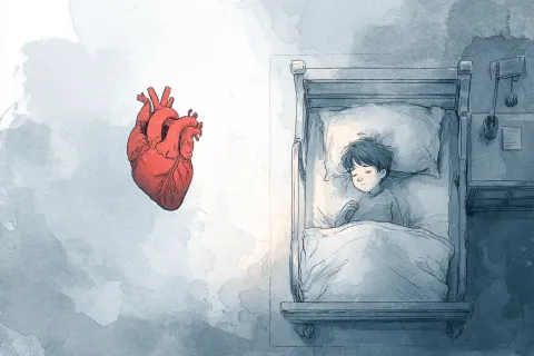 Un enfant italien est décédé après une greffe cardiaque, les conditions de transport de l'organe mises en cause