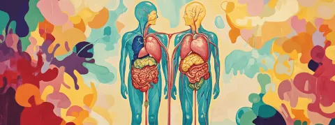 Bonne nouvelle, avec plus de 6 000 greffes en 2024, la transplantation en France retrouve son niveau d’avant Covid 