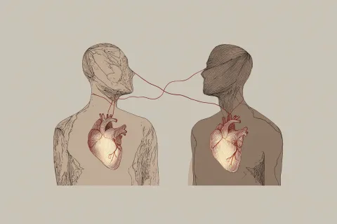 6 148 greffes réalisées en 2025, un record mais une opposition croissante des jeunes et des proches des défunts