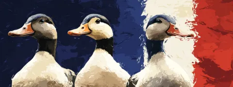 Deux nouveaux foyers de grippe aviaire découverts en deux jours, la France retombe dans l'épidémie