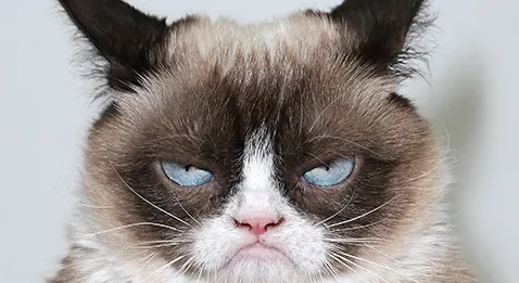 Fric : 50 % des jeunes médecins insatisfaits