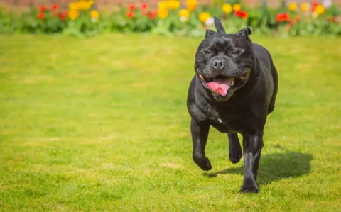 L’assurance maladie attaque le site qui propose des arrêts maladie à la carte