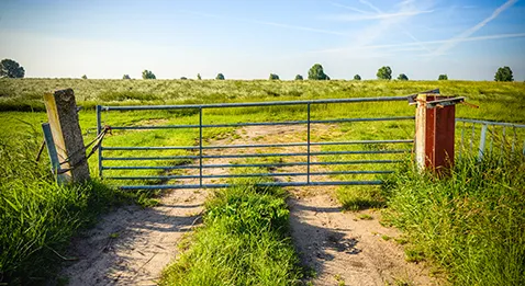 Les honoraires sont toujours plus beaux dans le pays d’à côté