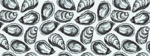 Les huîtres du Bassin d'Arcachon interdites à la vente après une série d'intoxications