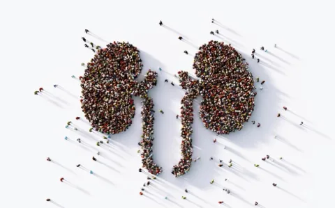 Procédure de choix : la néphro, une spé " transversale " pour Valentin Maisons, président du Snin