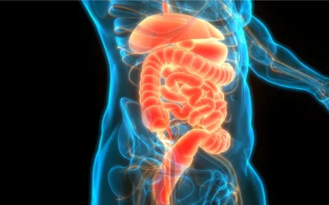 " Il ne faut pas avoir peur de faire des endoscopies ", explique Anaïs Jenvrin 