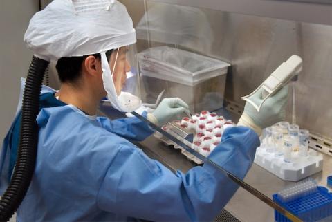 Rien ne prouve que le coronavirus a été créé en laboratoire : les dessous de l’infodémie sur le Covid-19