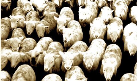 Temps de travail des internes : le compte n’est pas bon