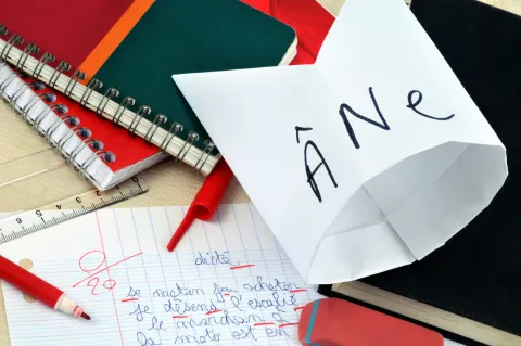 Gestion de la crise Covid : l’Etat a manqué d’anticipation selon la Cour des comptes 