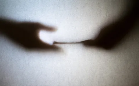 Covid-19 : 110.000 faux pass sanitaires détectés en France