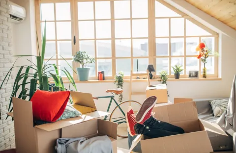 Académie de l’OMS à Lyon : l’installation commence 