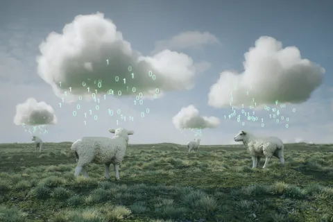 Health Data Hub : Les données doivent rentrer au bercail