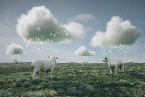 Health Data Hub : Les données doivent rentrer au bercail