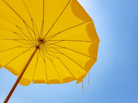 L’urgence sanitaire ne doit pas faire de l’ombre à l’urgence environnementale 