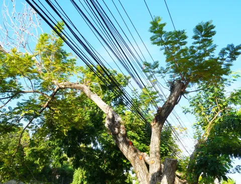 Au Venezuela, les coupures de courant dans les hôpitaux ont tué plus de 200 patients