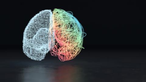 Les neurones mis à l’épreuve par le SARS-CoV-2 ! 