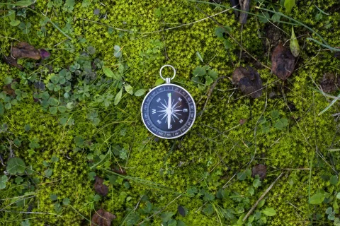 Alcool, cannabis, tabac : Guide pratique pour aider à repérer et traiter les addictions