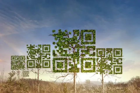 Covid : les QR codes vont-ils faire partie intégrante du paysage ? 