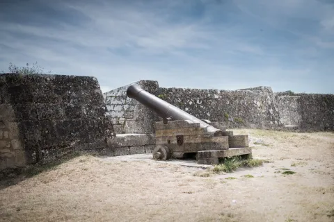 Sur le front de la Covid 