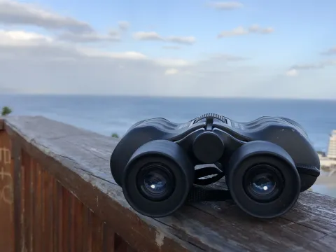 Covid : un nouveau variant dans le viseur sud-africain ? 