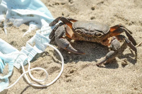 Patients malades du Cancer, l’heure du bilan de Santé 