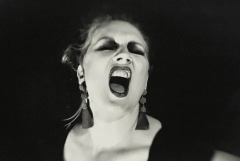 Les “divas“ demandent la démission de la directrice de l’hôpital de Metz-Thionville