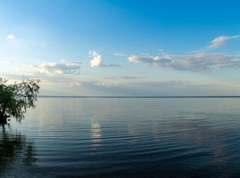 Cas en baisse : Un ciel de plus en plus dégagé 