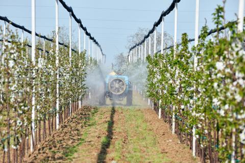 Pesticides et maladies graves : les liens se précisent