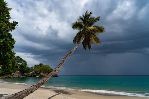 Renforts en Martinique : une mobilisation effrénée qui commence à payer 