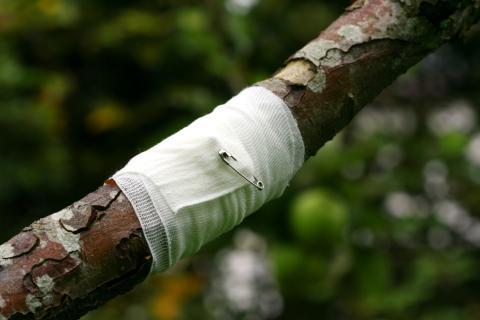 Journée nationale d’hommage aux soignants : Un pansement sur une jambe de bois ? 