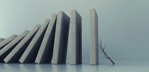 Covid-19 : le combat très incertain de familles contre l'OMS et la Chine