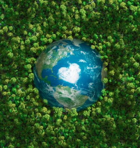 Changement climatique : l'OMS réclame de mettre la santé au coeur de la lutte