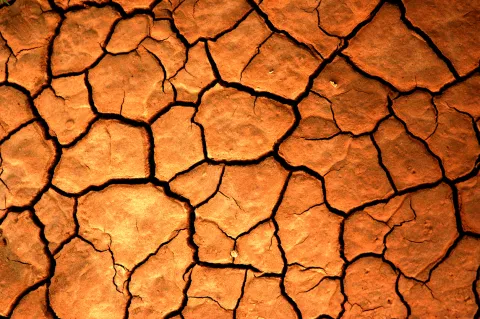 La famine menace des millions de personnes selon l’ONU 