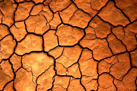 La famine menace des millions de personnes selon l’ONU 