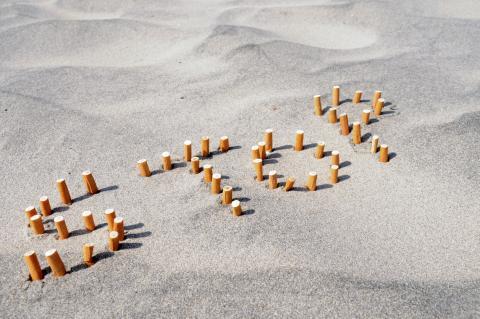 Mégots, déforestation, eau, émission de CO2, le tabac est aussi désastreux pour l’environnement que pour la santé