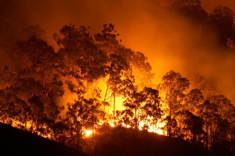 Nouvelle flambée du choléra au Cameroun, 29 morts en seulement une semaine