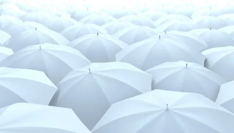 Mulhouse, Colmar, Strasbourg : dans l’Est, pluie de plans blancs 