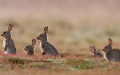 Et si on luttait enfin contre le fléau des rendez-vous manqués ?